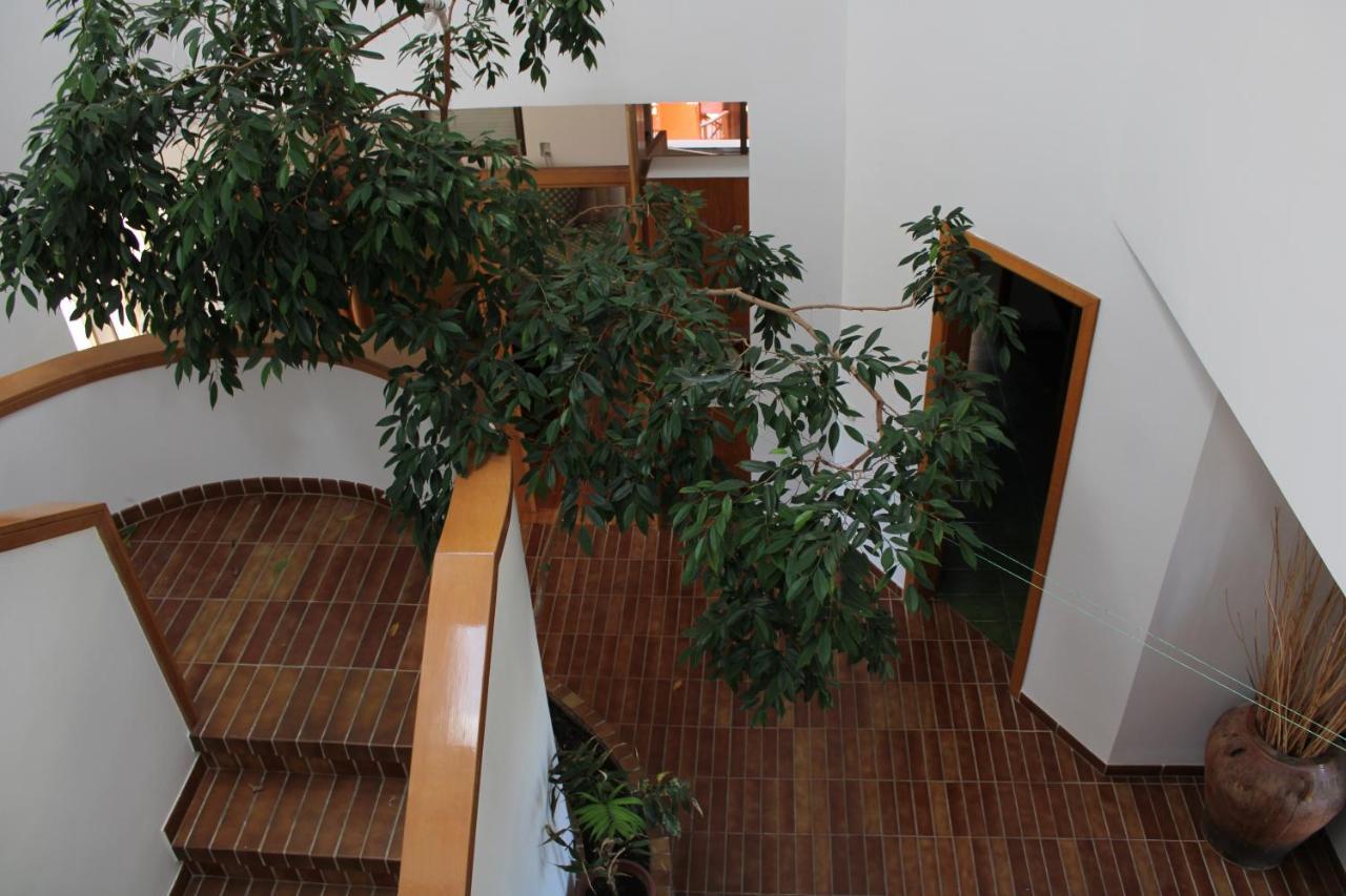 Villa De L'Ebre Deltebre Extérieur photo