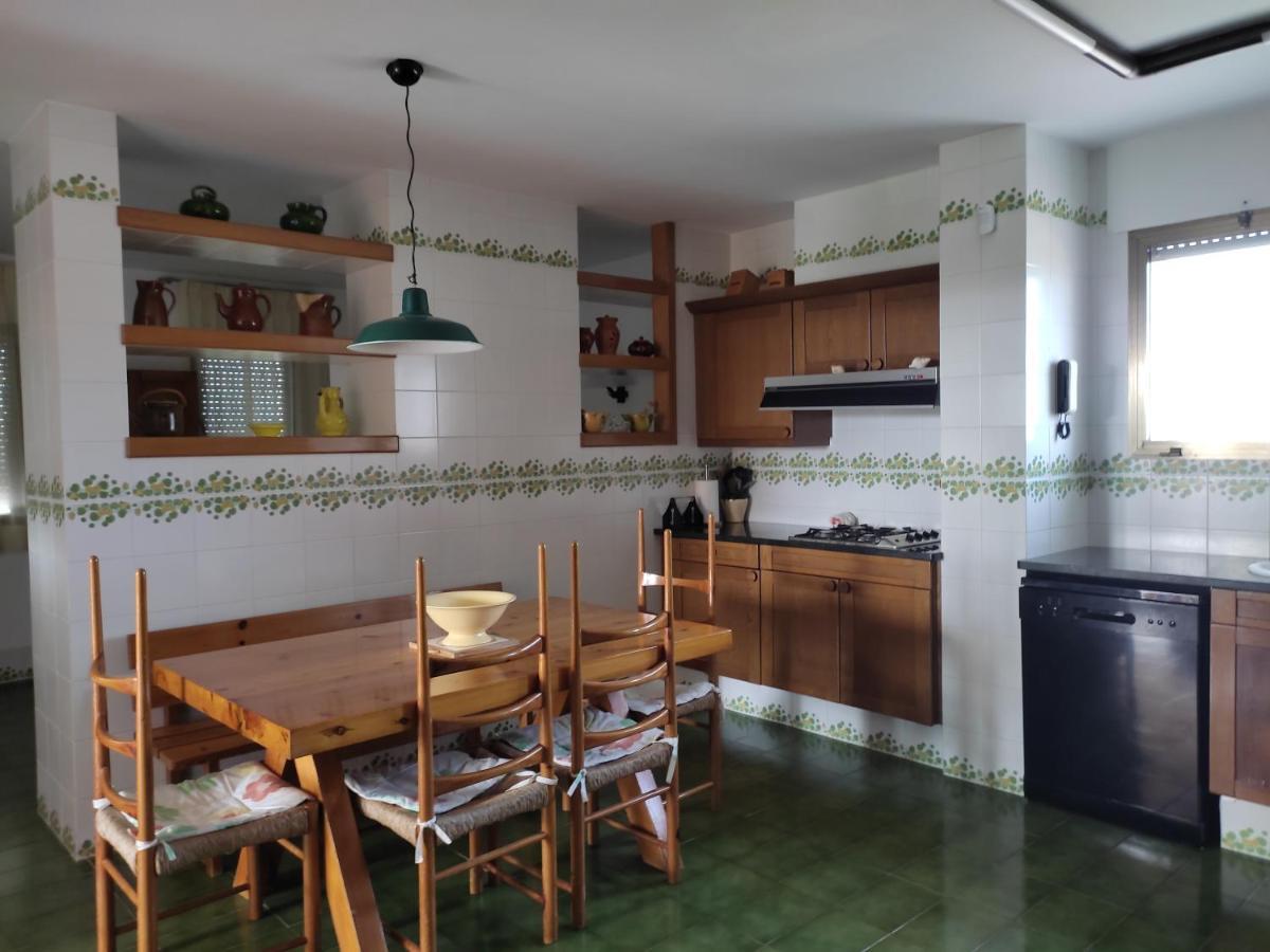 Villa De L'Ebre Deltebre Extérieur photo